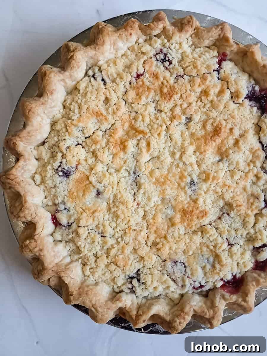 baked blackberry raspberry pie with crumbs on top.