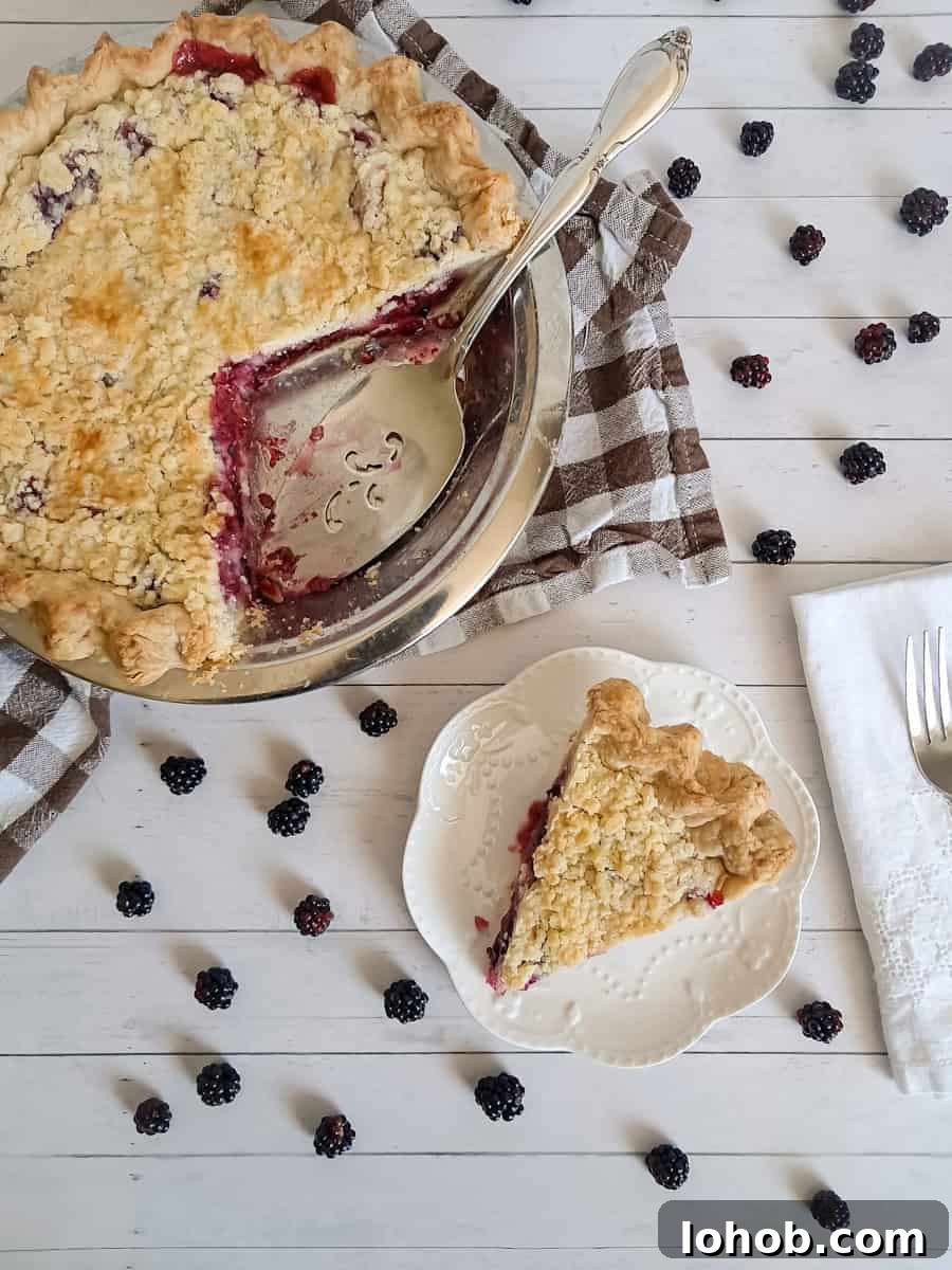 a slice cut out of the 9" berry pie and put on a plate.