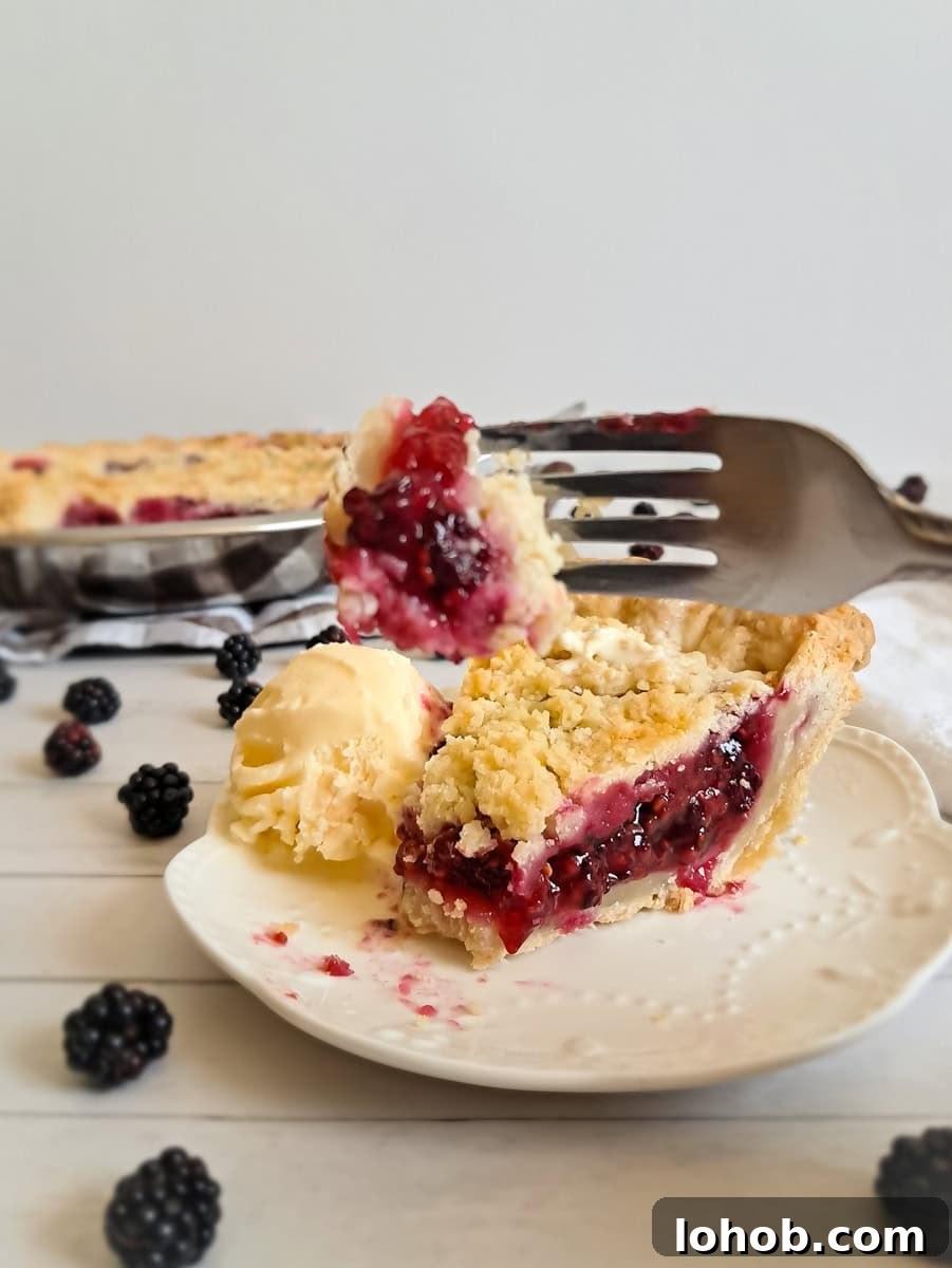 let's try our Amish berry pie, featuring a bite on a fork.