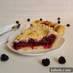 slice of blackberry pie on a small white plate, blackberries scattered around.
