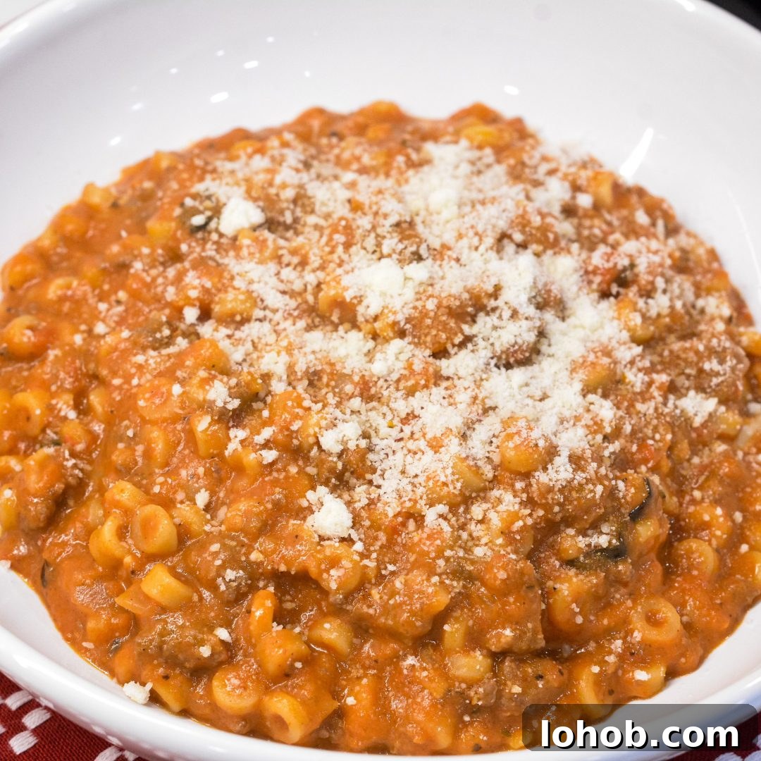 Homemade SpaghettiOs Recipe: Classic Kid-Friendly Pasta in Minutes 10 My version of homemade spaghettios uses tomato sauce, tender little pasta rings, bites of ground meat, cheese, and seasonings.