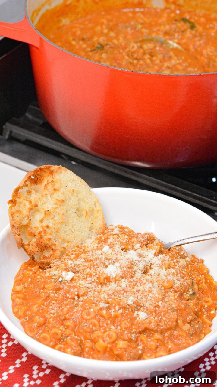 Homemade SpaghettiOs Recipe: Classic Kid-Friendly Pasta in Minutes 12 My version of homemade spaghettios uses tomato sauce, tender little pasta rings, bites of ground meat, cheese, and seasonings.