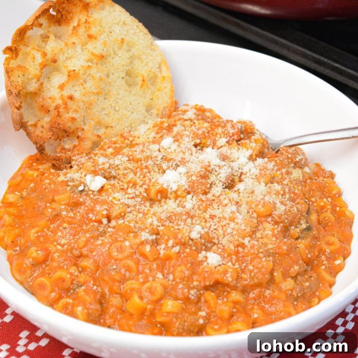 Homemade SpaghettiOs Recipe: Classic Kid-Friendly Pasta in Minutes 4 My version of homemade spaghettios uses tomato sauce, tender little pasta rings, bites of ground meat, cheese, and seasonings.