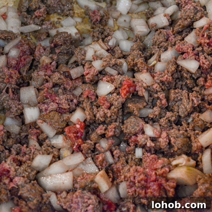 Homemade SpaghettiOs Recipe: Classic Kid-Friendly Pasta in Minutes 5 Begin making the Homemade Spaghettios by cooking ground meat, breaking it into small pieces. Add onion and garlic and continue cooking 5 minutes.
