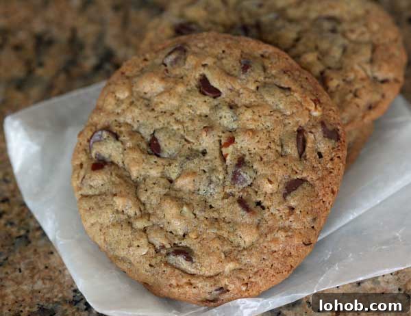Chocolate Chip Cookies At Their Best