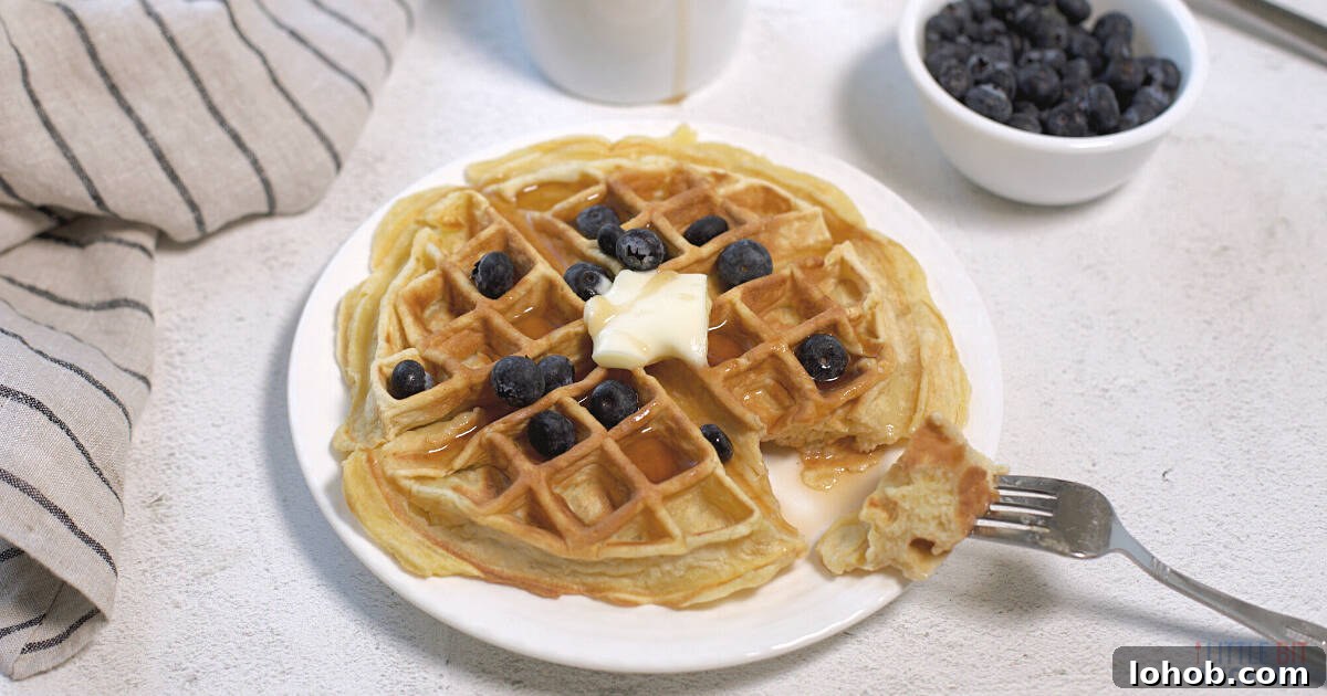 Belgium waffle for one with butter and blueberries.