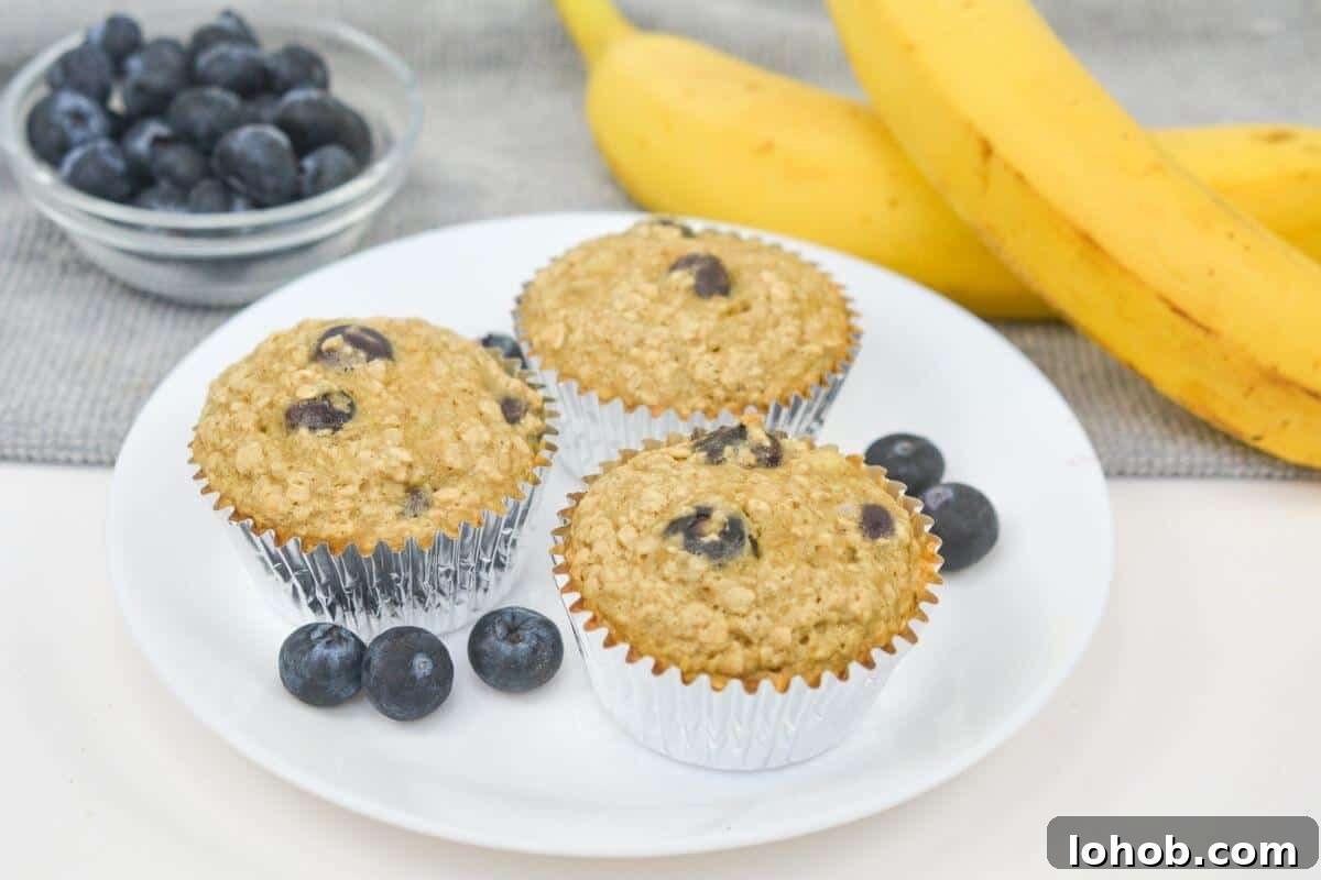 Oat banana blueberry muffins with blueberries and a banana.