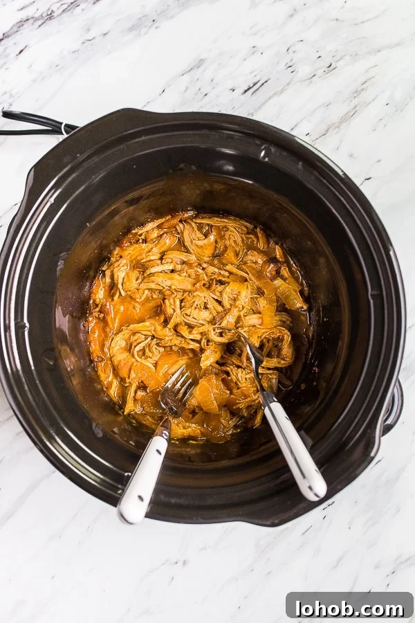 slow cooker pulled pork