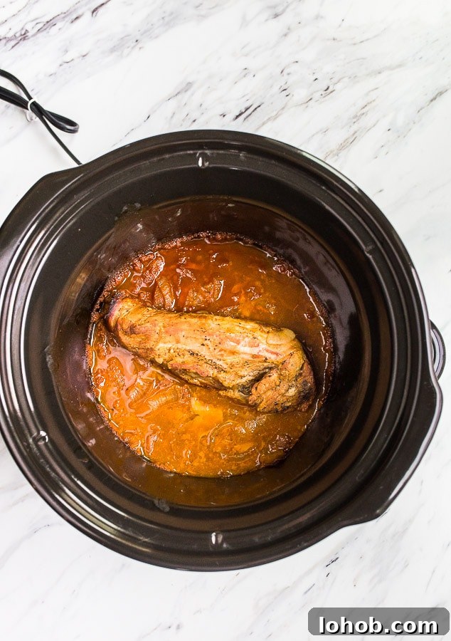 crock pot pork recipe