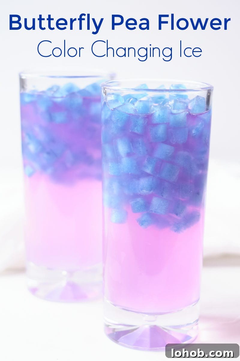 2 glasses butterfly pea flower ice in lemonade.