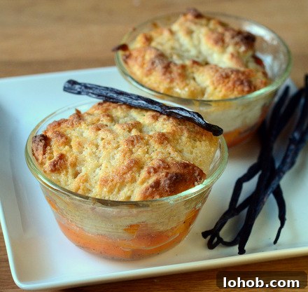 Mini Vanilla Bean Apricot Cobblers (Individual Servings) 2 Individual Vanilla Bean Apricot Cobblers