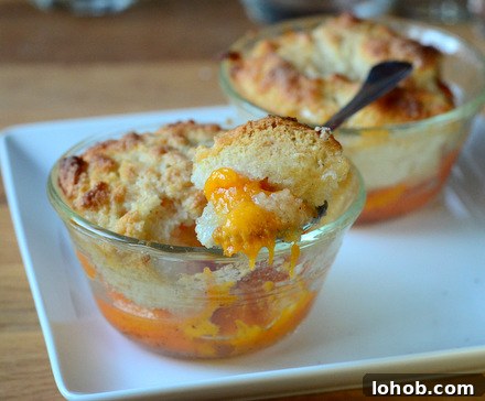 Mini Vanilla Bean Apricot Cobblers (Individual Servings) 3 Individual Vanilla Bean Apricot Cobblers