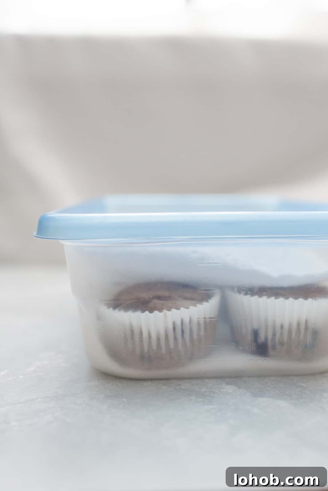 muffins in a sealed tupperware with paper towels