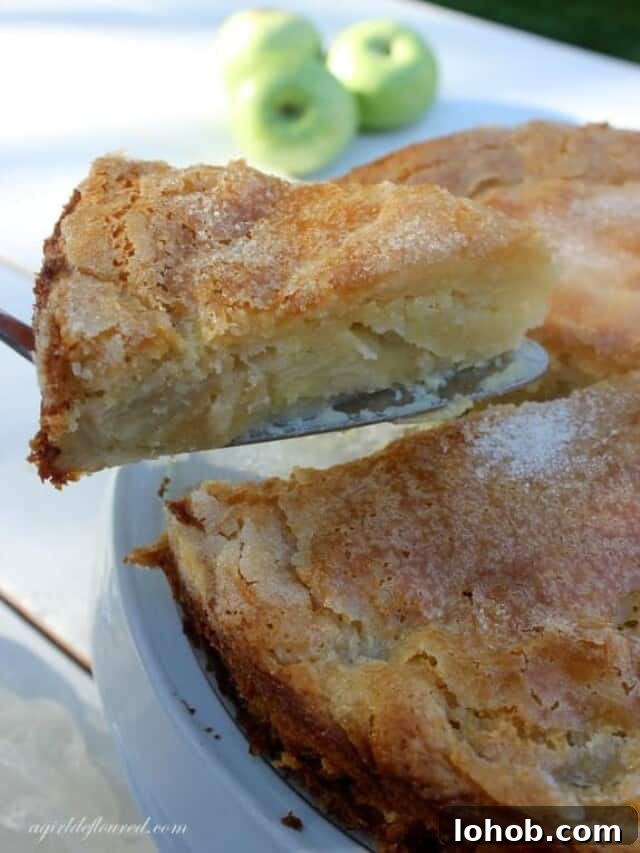 Flaky Rustic Fruit Galette Recipe for Perfect Summer Desserts 12 gluten free apple cake with a slice taken out