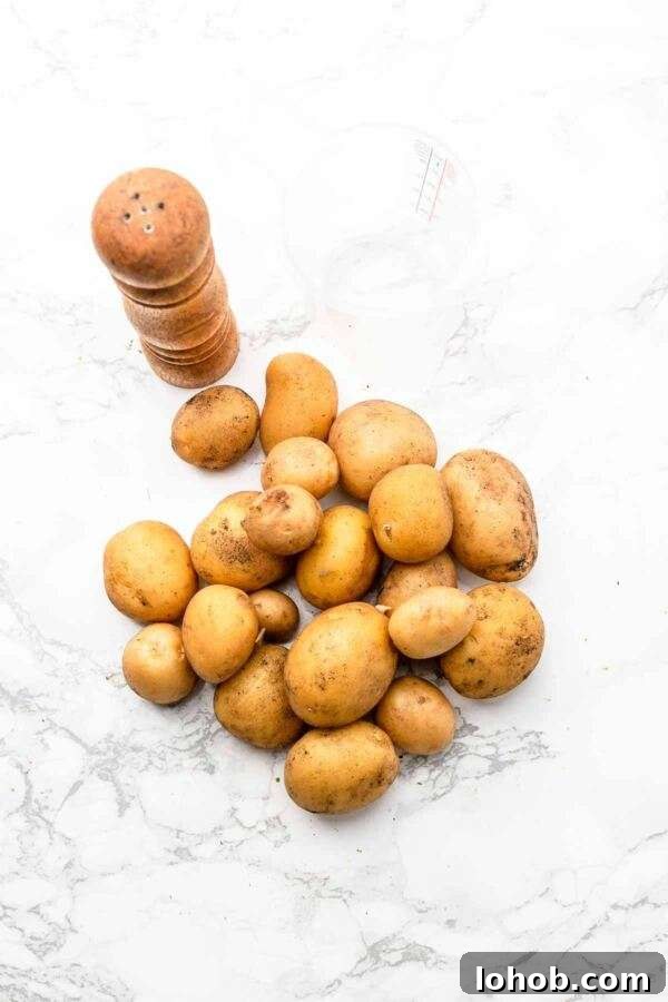 Ingredients for making perfectly boiled potatoes in an Instant Pot.