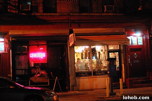 Snapshots of New York: Top Sights, Neighborhoods & Hidden Gems 6 lower east side new york city