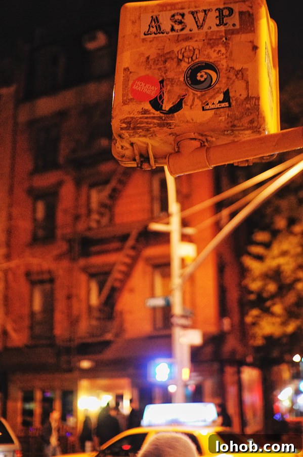Snapshots of New York: Top Sights, Neighborhoods & Hidden Gems 7 lower east side nyc