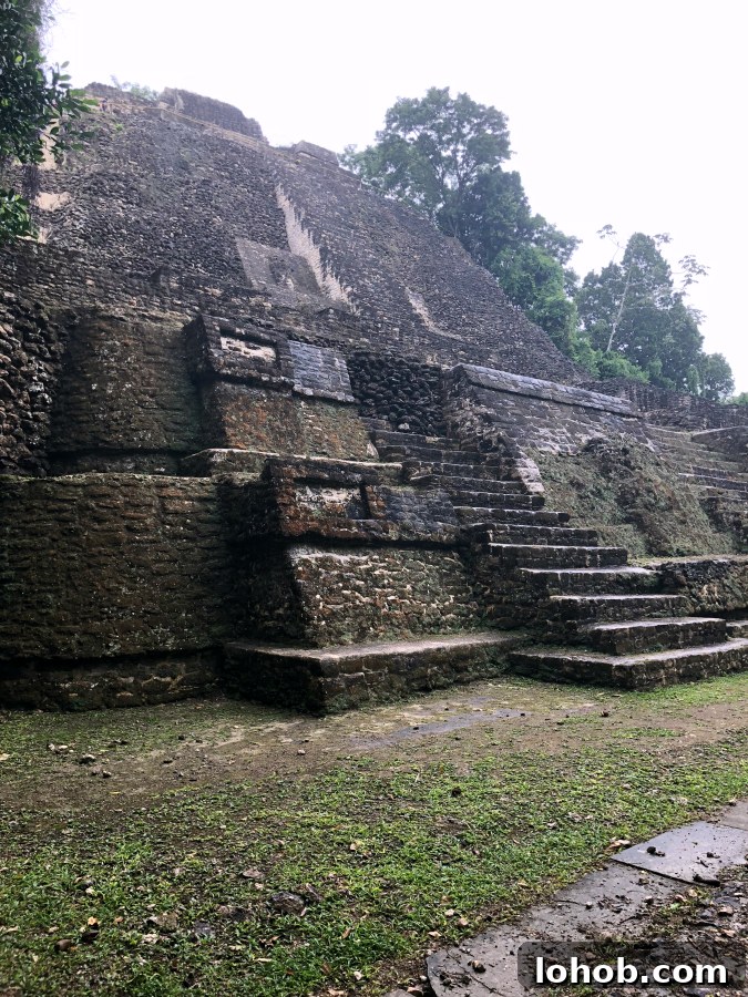 Exploring Lamanai: Belize’s Ancient Maya Ruins Guide 6 The High Temple, Lamanai