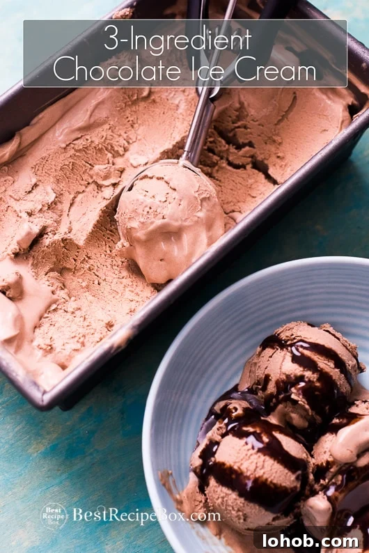 No Churn Easy Chocolate Ice Cream Recipe with just 3 Ingredients | @bestrecipebox No Churn Easy Chocolate Ice Cream Recipe in a bowl