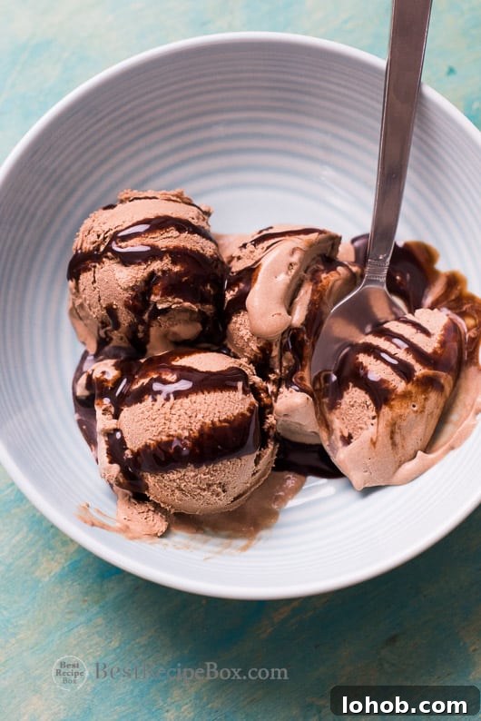 No Churn Easy Chocolate Ice Cream Recipe with just 3 Ingredients | @bestrecipebox No Churn Easy Chocolate Ice Cream Recipe in a bowl with a spoon