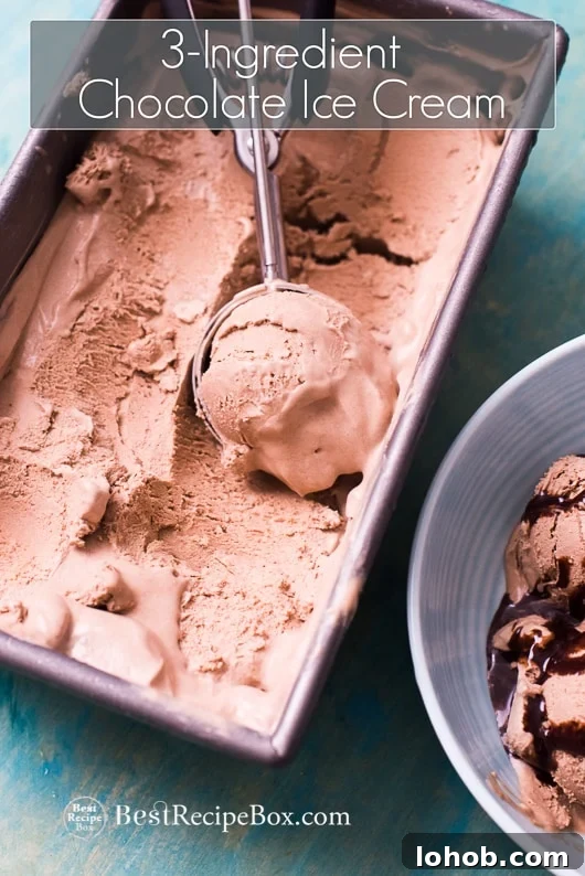 No Churn Easy Chocolate Ice Cream Recipe with just 3 Ingredients | @bestrecipebox No Churn Easy Chocolate Ice Cream Recipe with just 3 Ingredients in a bowl with a ice cream scoop