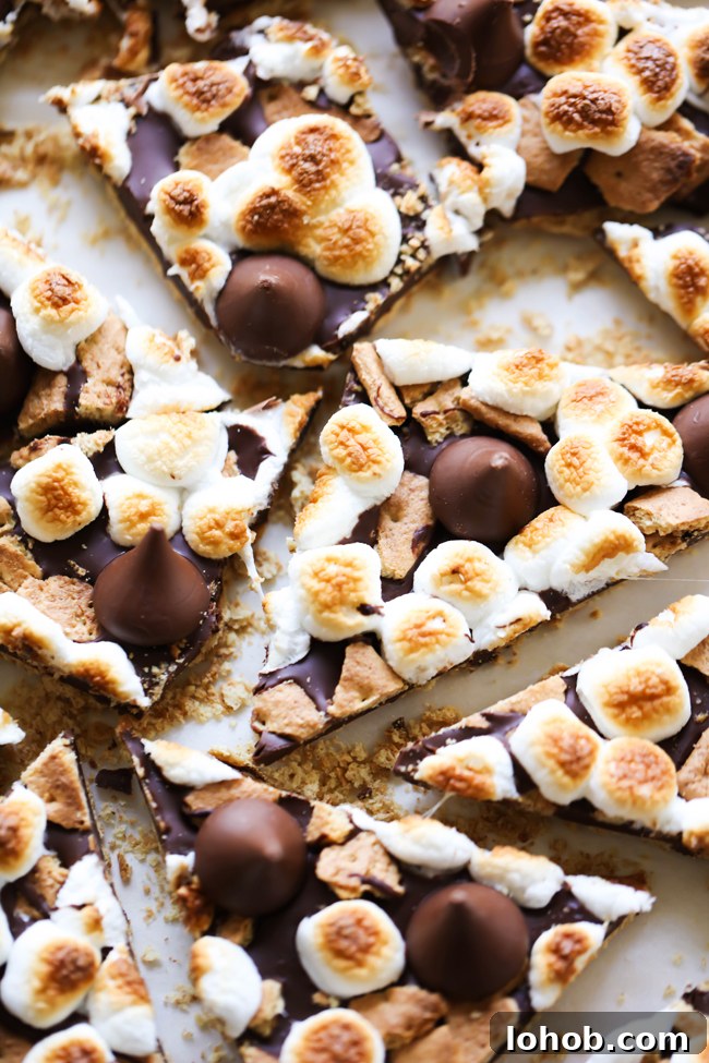 Hershey’s Kisses S’mores Bark Recipe: Chocolate Graham Delight 8 This HERSHEY'S KISSES S'more Bark could not be easier to make! This recipe is so delicious and perfect for a quick snack. It tastes just like the beloved s'more; only it is made in the comfort of your own kitchen. #sponsored HERSHEY'S Chocolate