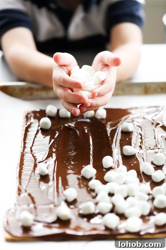 Hershey’s Kisses S’mores Bark Recipe: Chocolate Graham Delight 6 This HERSHEY'S KISSES S'more Bark could not be easier to make! This recipe is so delicious and perfect for a quick snack. It tastes just like the beloved s'more; only it is made in the comfort of your own kitchen. #sponsored HERSHEY'S Chocolate