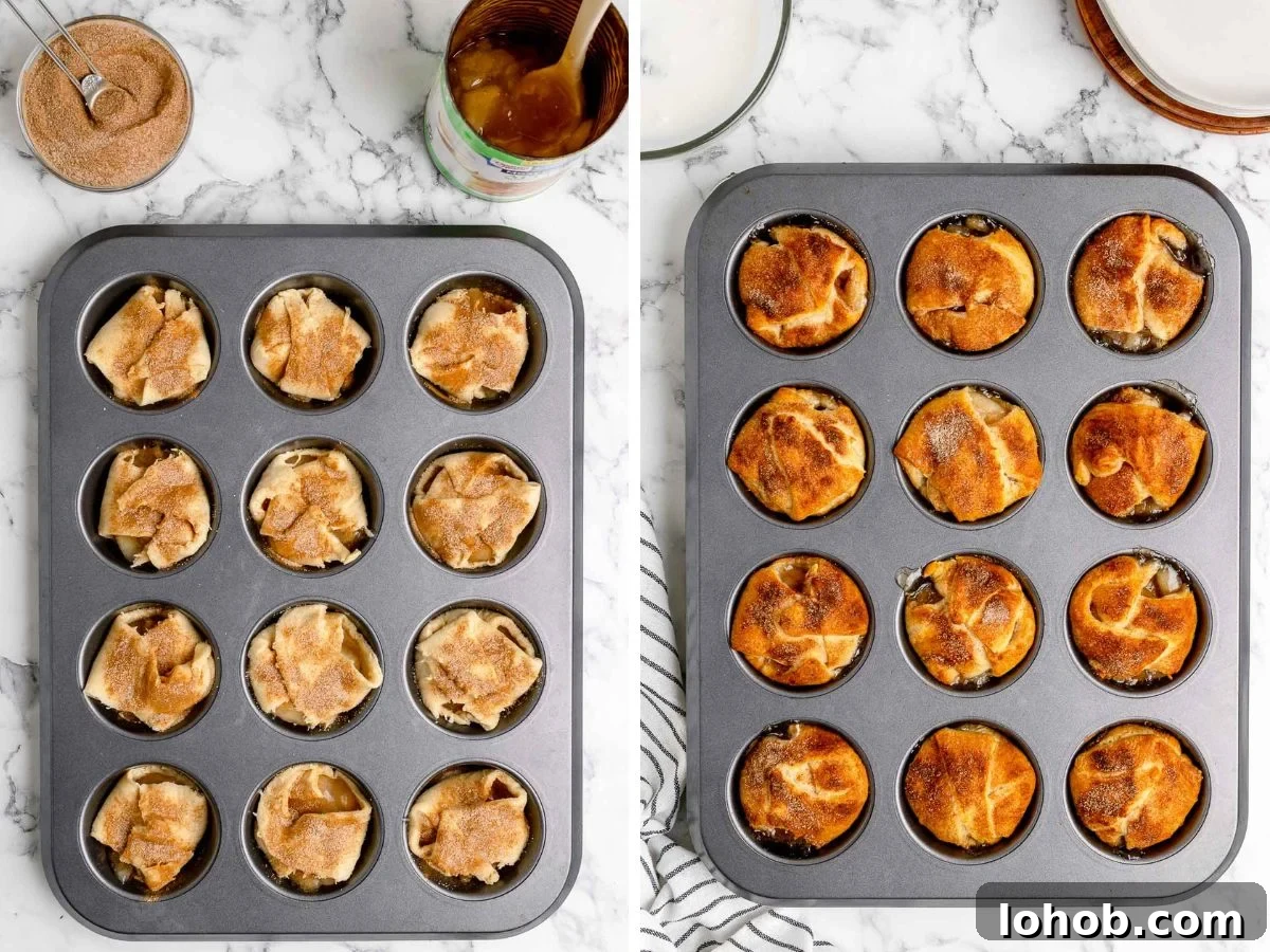 Mini Apple Pie Bites: Crispy Cinnamon Handheld Pastry Recipe 5 mini pie bites in a muffin tin