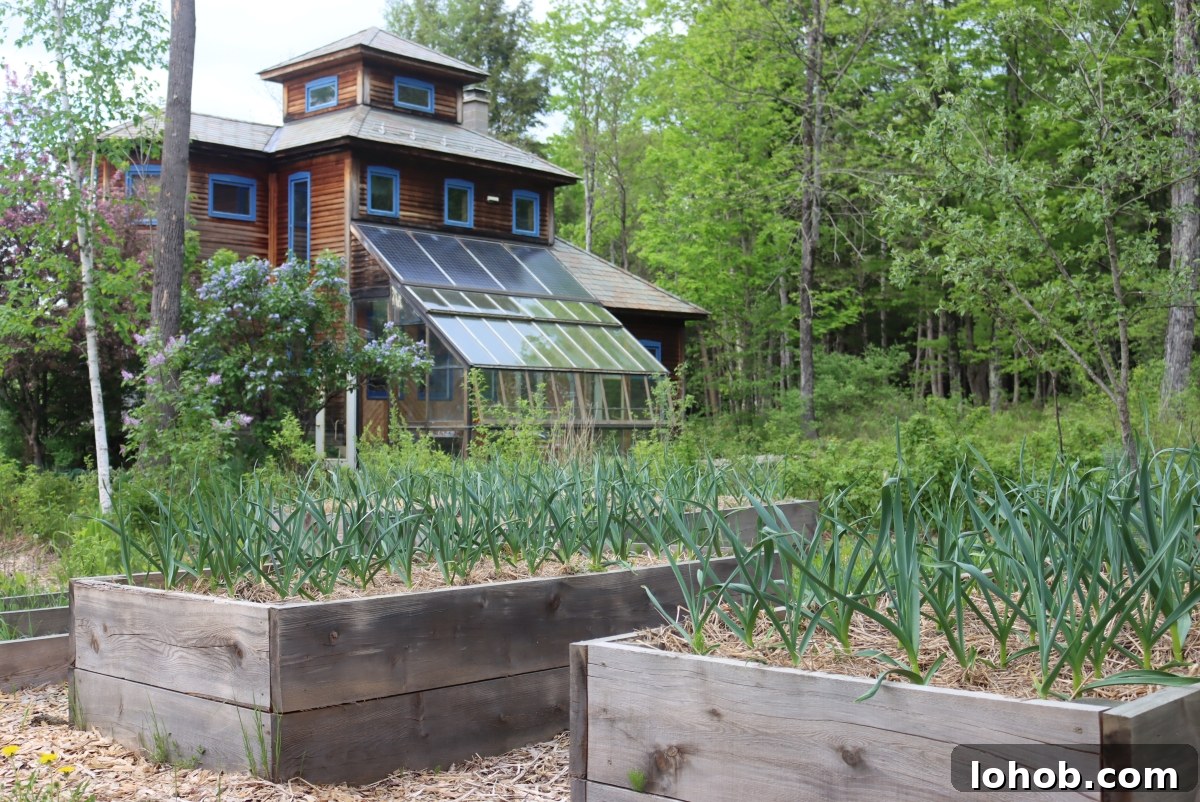 Raised Bed Gardening Guide for Beginners: Start Growing Vegetables 2 Spring Garlic in Raised Beds