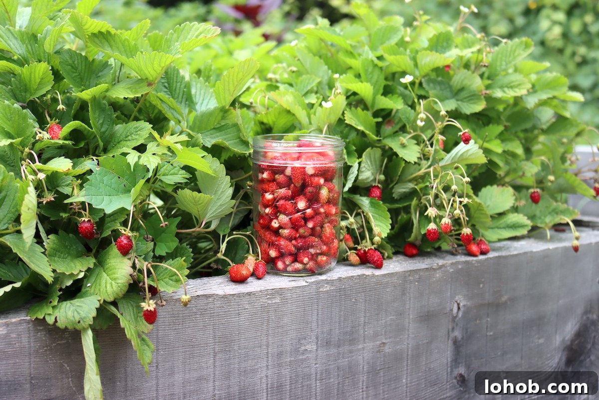 Raised Bed Gardening Guide for Beginners: Start Growing Vegetables 14 img 29816 13