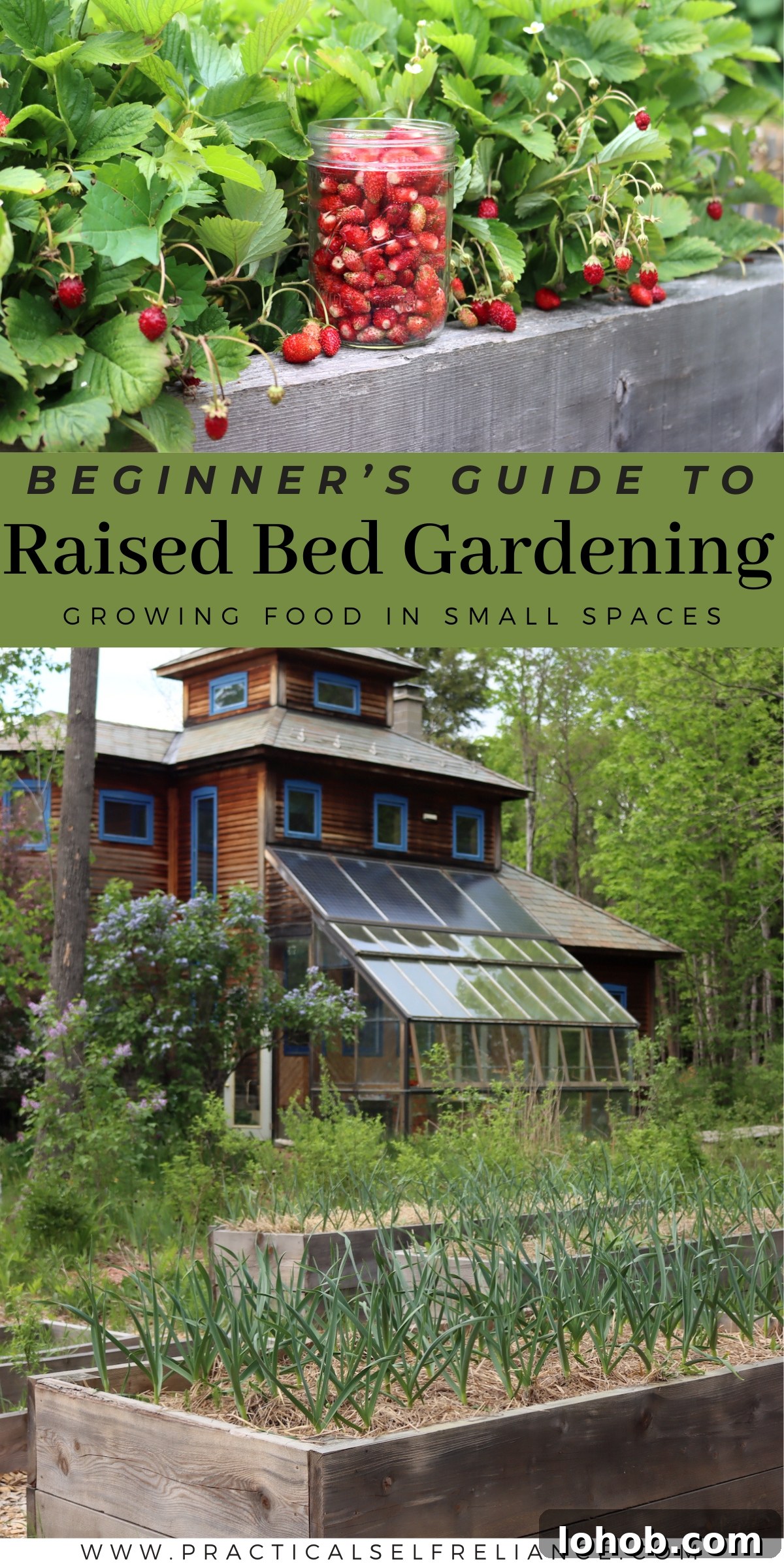 Raised Bed Gardening Guide for Beginners: Start Growing Vegetables 18 img 29816 17