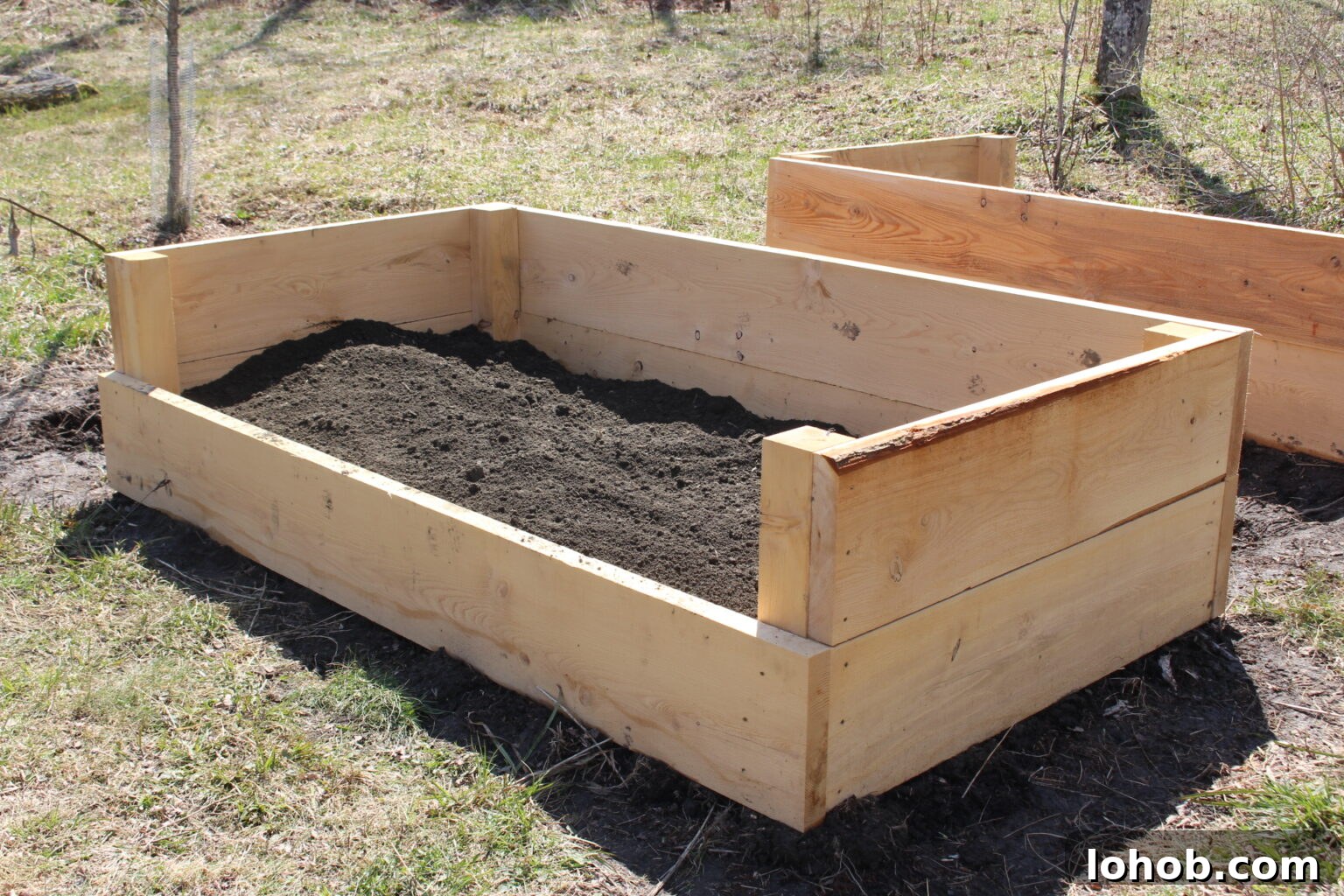 Raised Bed Gardening Guide for Beginners: Start Growing Vegetables 8 img 29816 7