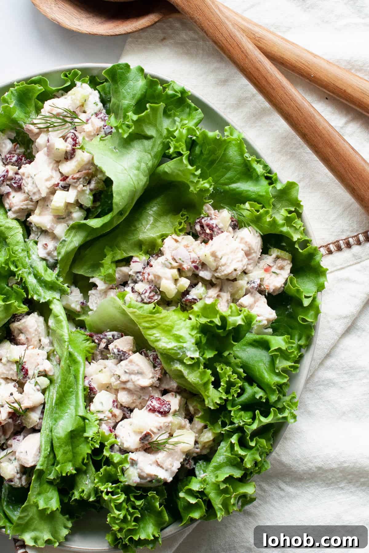 Cranberry Pecan Chicken Salad Recipe for Fresh, Crunchy Lunch 6 healthy chicken salad wrap