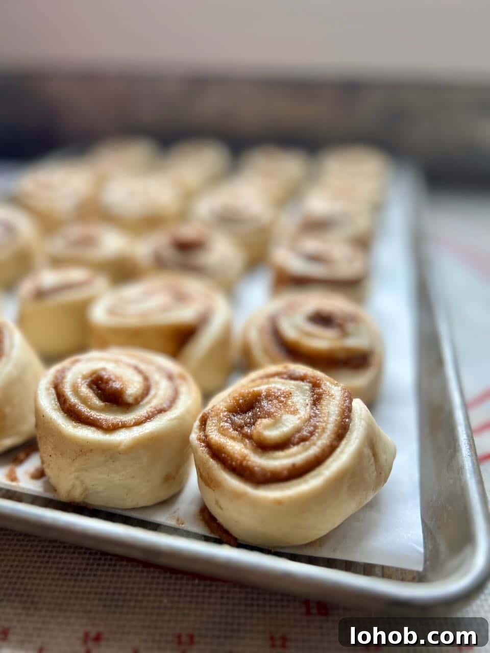 Soft Gooey Cinnamon Rolls Recipe for Perfectly Fluffy Layers 12 A cookie sheet contains unbaked cinnamon rolls that are barely touching.
