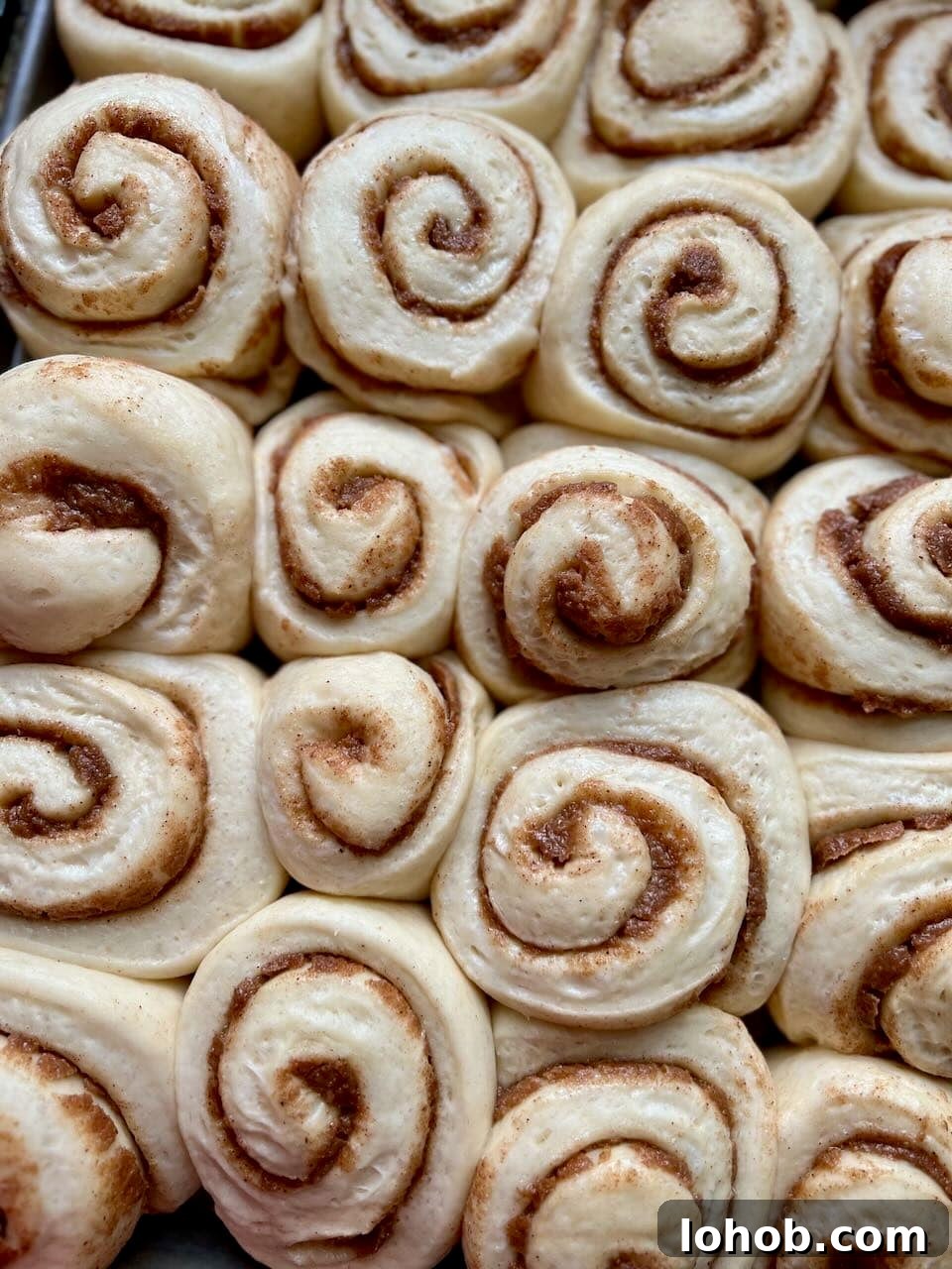 Soft Gooey Cinnamon Rolls Recipe for Perfectly Fluffy Layers 13 Unbaked cinnamon rolls are puffed and touching edges.