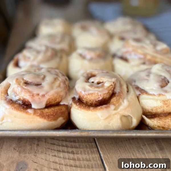 Soft Gooey Cinnamon Rolls Recipe for Perfectly Fluffy Layers 21 img 3024 20