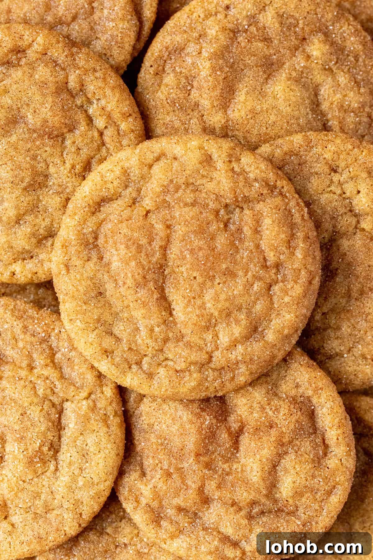 pumpkin snickerdoodle cookies in a pile
