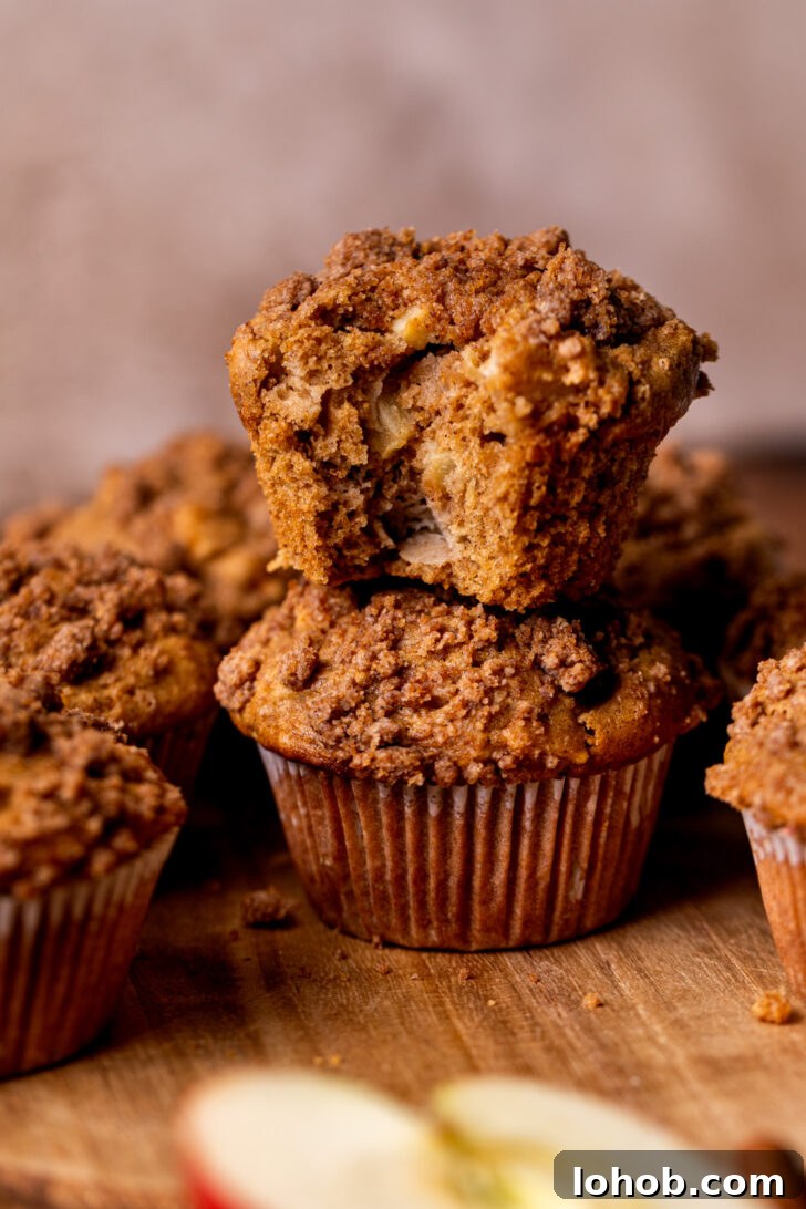 Moist Apple Muffin Recipe with Cinnamon Streusel 10 Two apple muffins topped on each other.