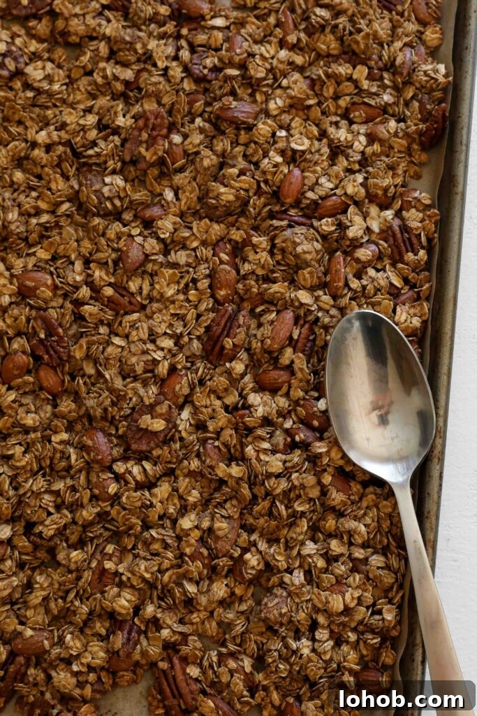 SunButter Gingerbread Granola baked on baking dish with a spoon by Flora & Vino