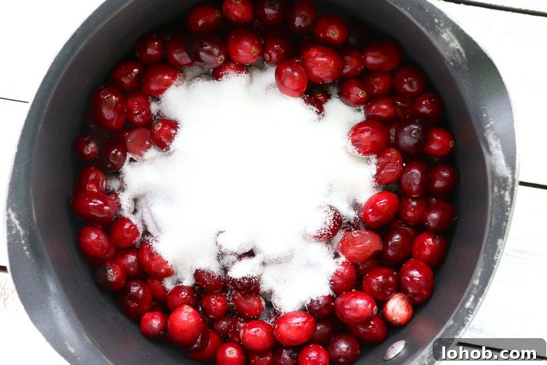 Cranberry Vanilla Mini Trifles for Holiday Entertaining 4 Cranberries and sweetener raw in the instant pot