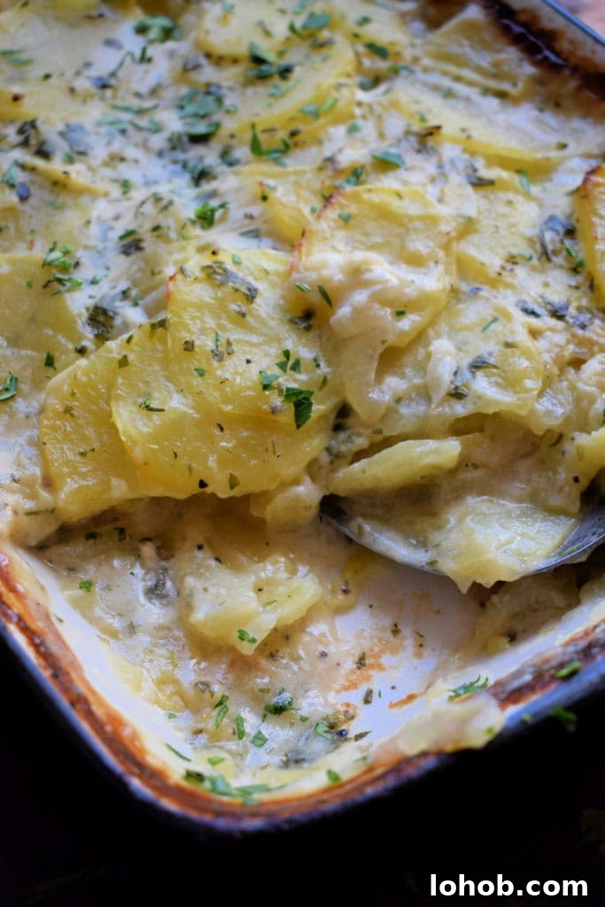 15 Irresistible Potato Recipes for Weeknight Meals 8 close up of the old fashioned scalloped potatoes