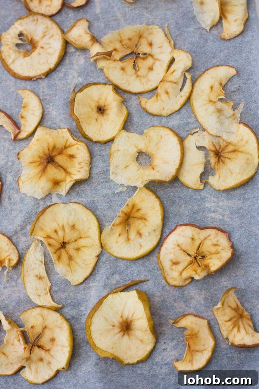 A close up dried apples on baking paper from above.