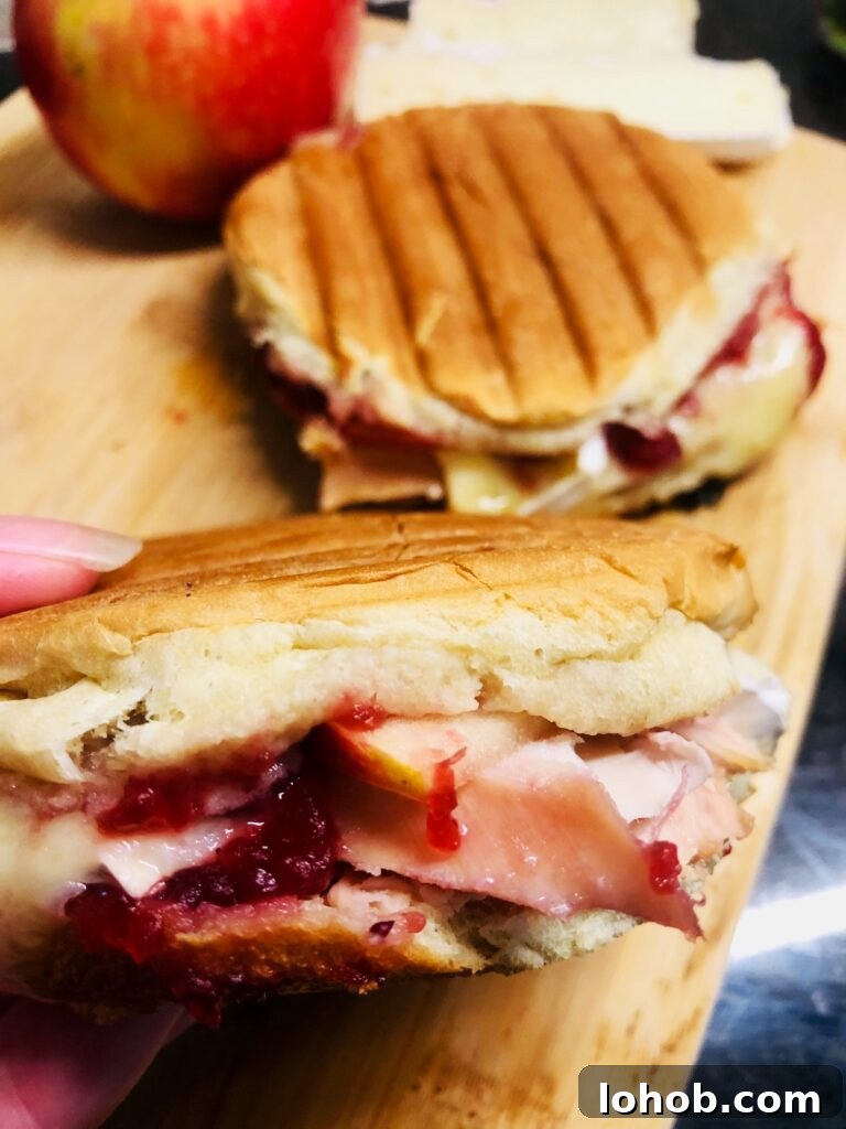 Citrus Cranberry Turkey Tenderloin with Orange Glaze 11 Turkey Brie and Cranberry Paninis