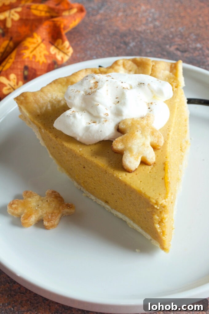 Light and Fluffy Pumpkin Chiffon Pie Recipe 2 Pumpkin Chiffon Pie.