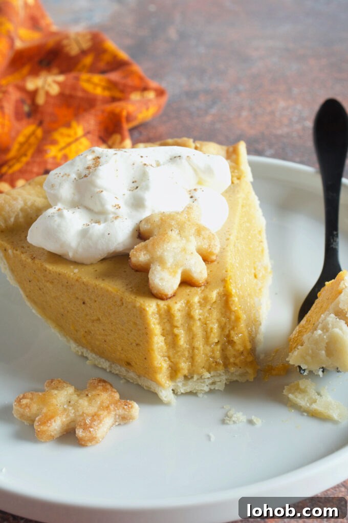 Light and Fluffy Pumpkin Chiffon Pie Recipe 7 img 36822 6