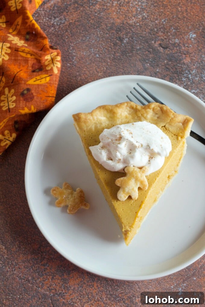 Light and Fluffy Pumpkin Chiffon Pie Recipe 8 Pumpkin Chiffon Pie.