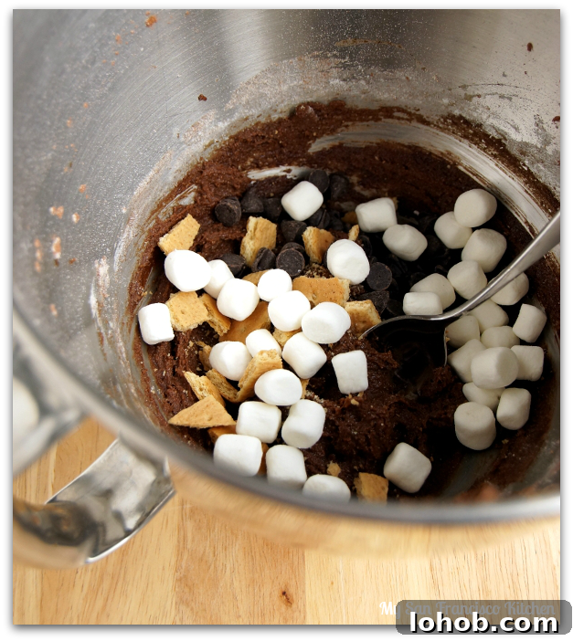 Chocolate S'mores Cookies Recipe for Gooey Campfire Flavor 3 s'more cookie batter