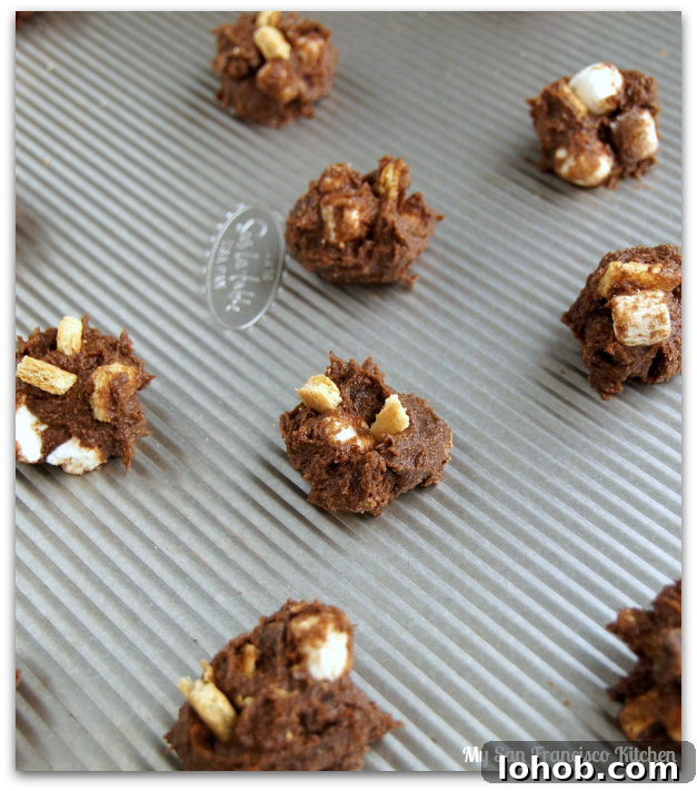 Chocolate S'mores Cookies Recipe for Gooey Campfire Flavor 4 s'more cookie dough