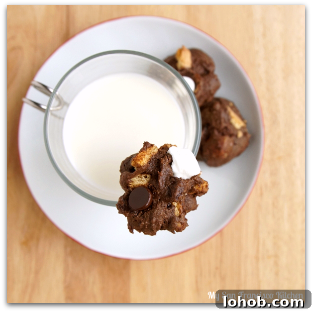 Chocolate S'mores Cookies Recipe for Gooey Campfire Flavor 5 s'more cookies
