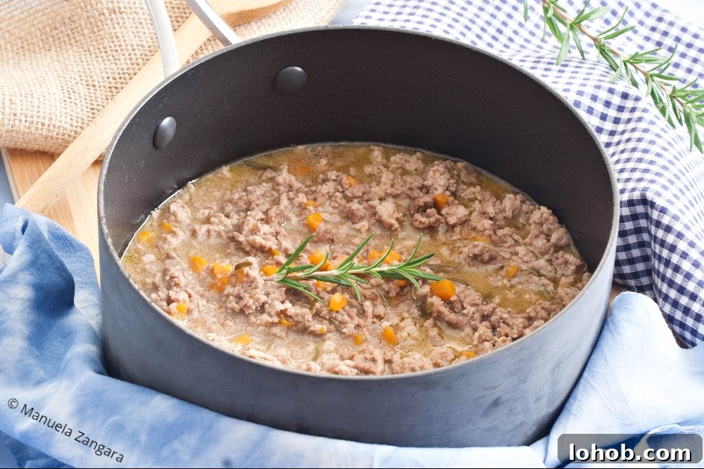 Low-FODMAP White Ragù (Italian Meat Sauce) 2 img 38839 2